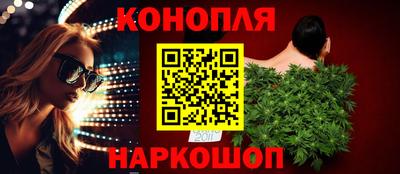 гидропоника Кингисепп