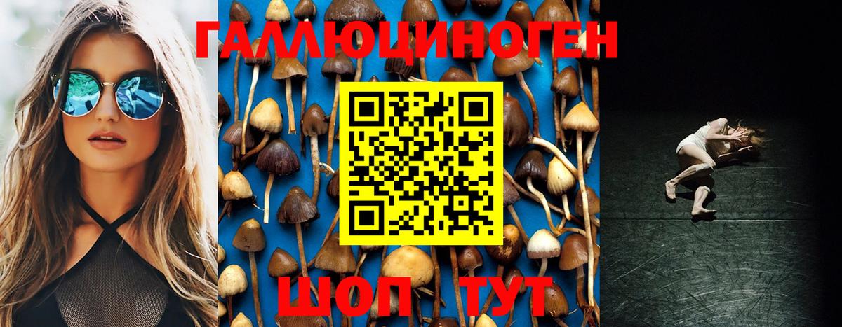 Псилоцибиновые грибы MAGIC MUSHROOMS  Галлюциногенные грибы MAGIC MUSHROOMS  Вход с VPN  Заводоуковск 